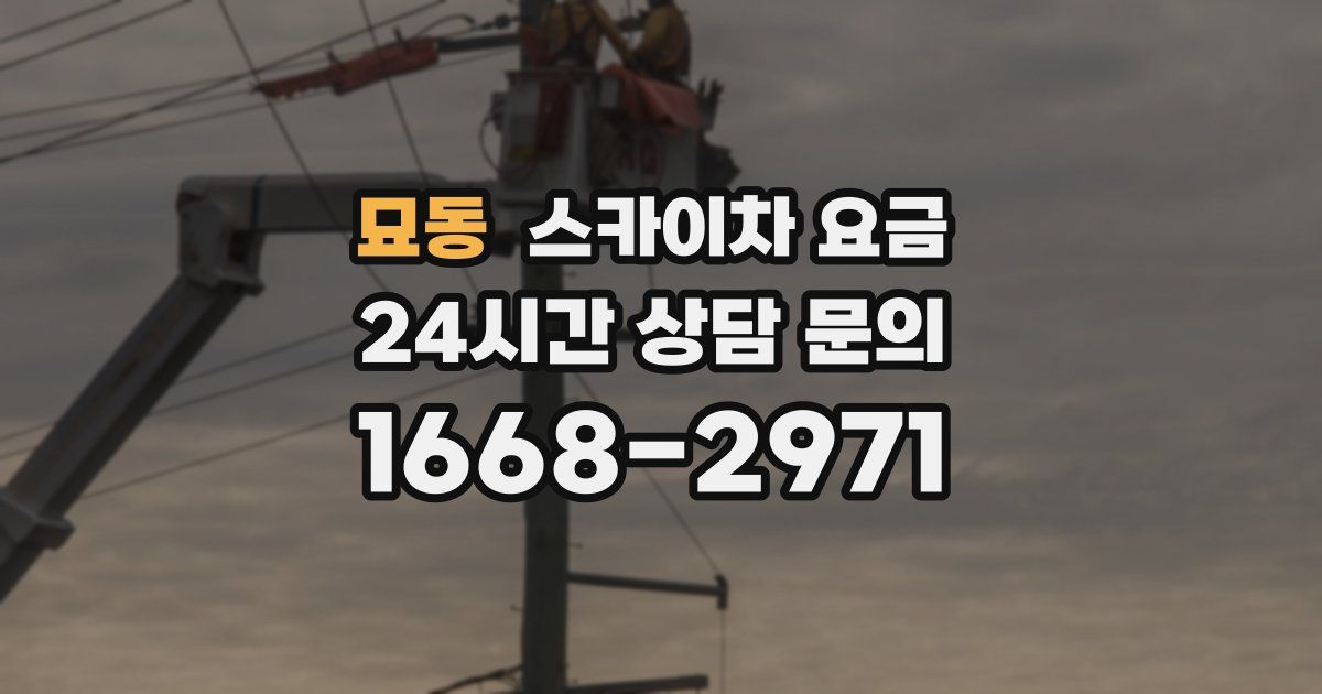 묘동 스카이차 요금