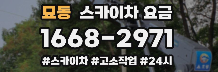 묘동 스카이차 요금