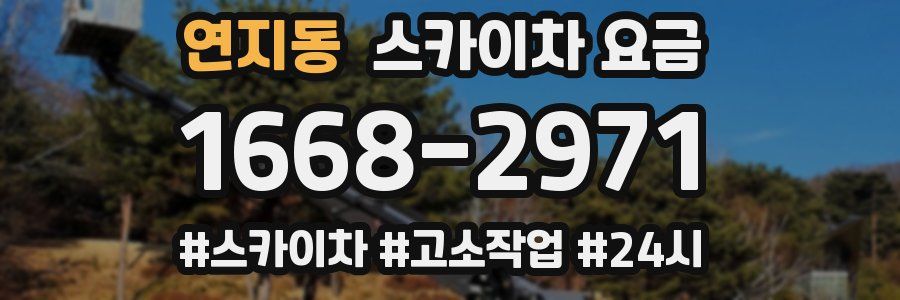 연지동 스카이차 요금