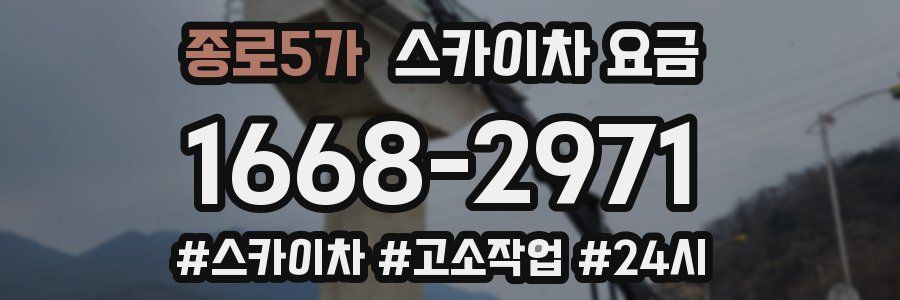 종로5가 스카이차 요금