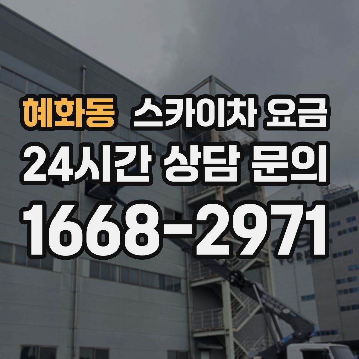 혜화동 스카이차 요금 나무 가지치기 작업은 어떤 기준으로 볼까