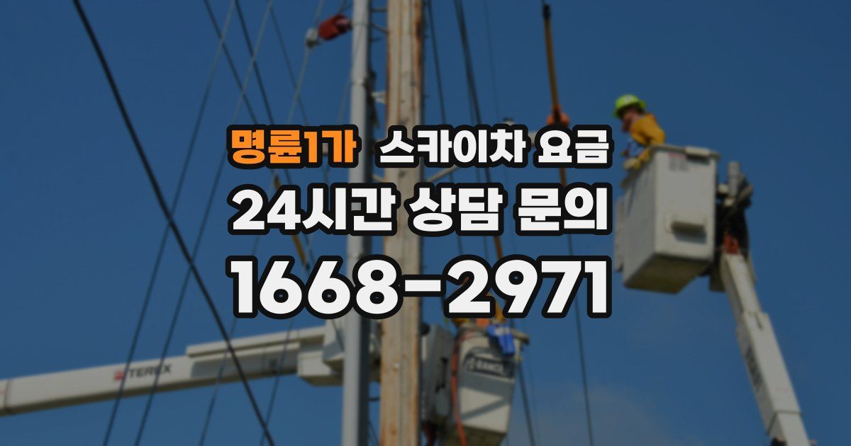 명륜1가 스카이차 요금