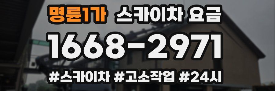 명륜1가 스카이차 요금