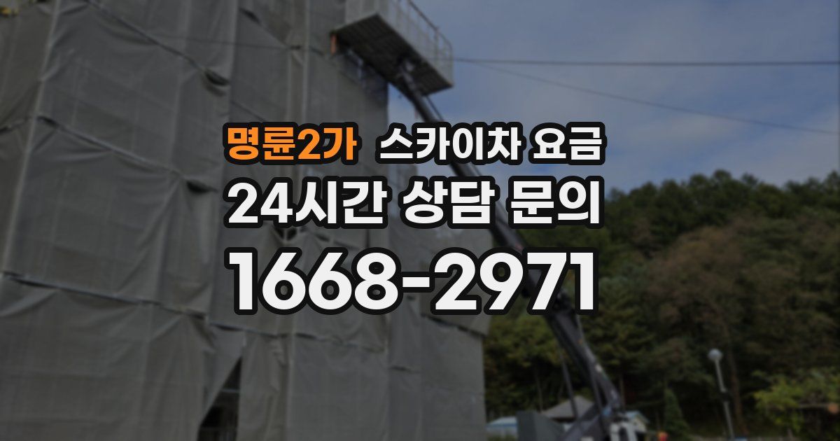 명륜2가 스카이차 요금