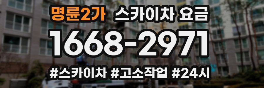 명륜2가 스카이차 요금