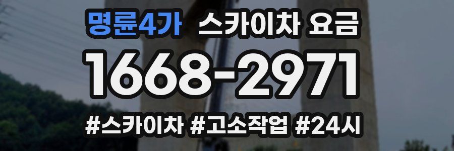 명륜4가 스카이차 요금