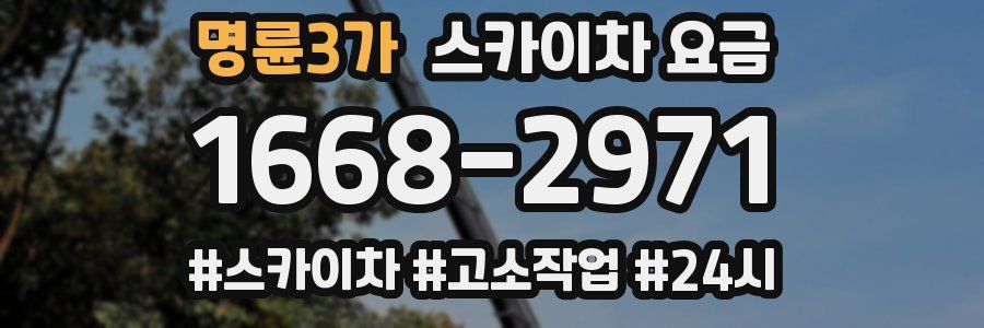 명륜3가 스카이차 요금