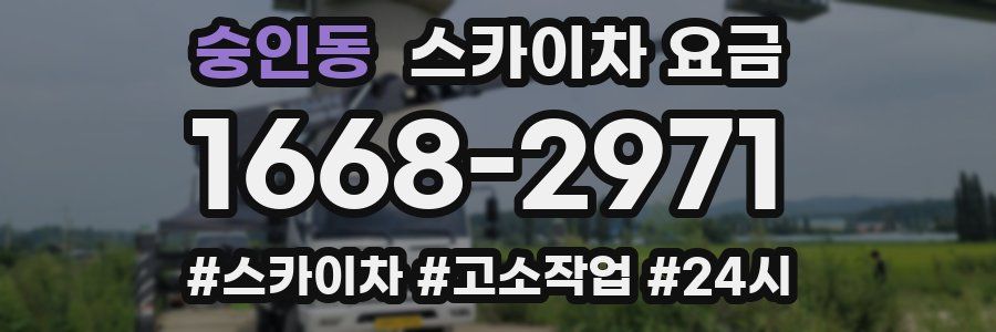 숭인동 스카이차 요금