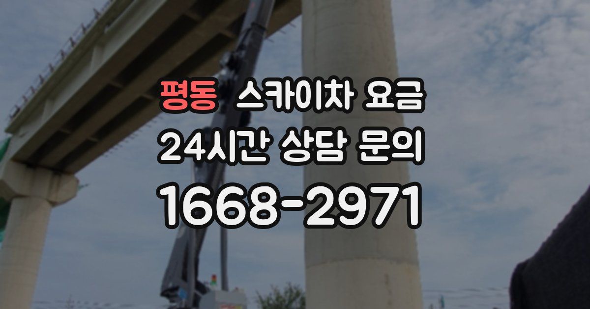 평동 스카이차 요금