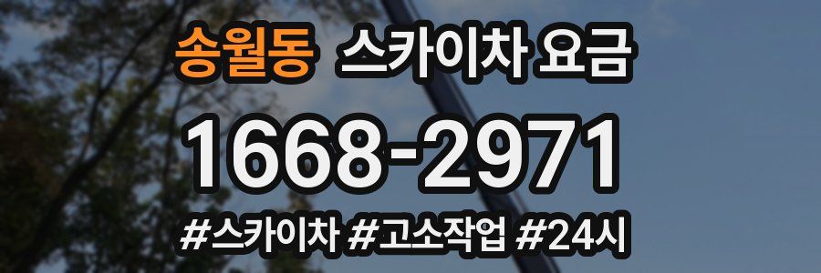 송월동 스카이차 요금