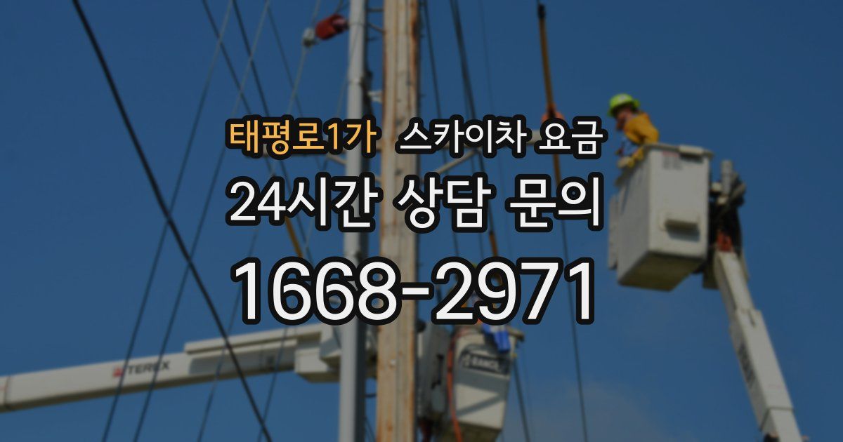 태평로1가 스카이차 요금