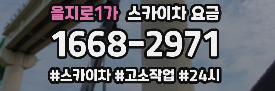 을지로1가 스카이차 요금