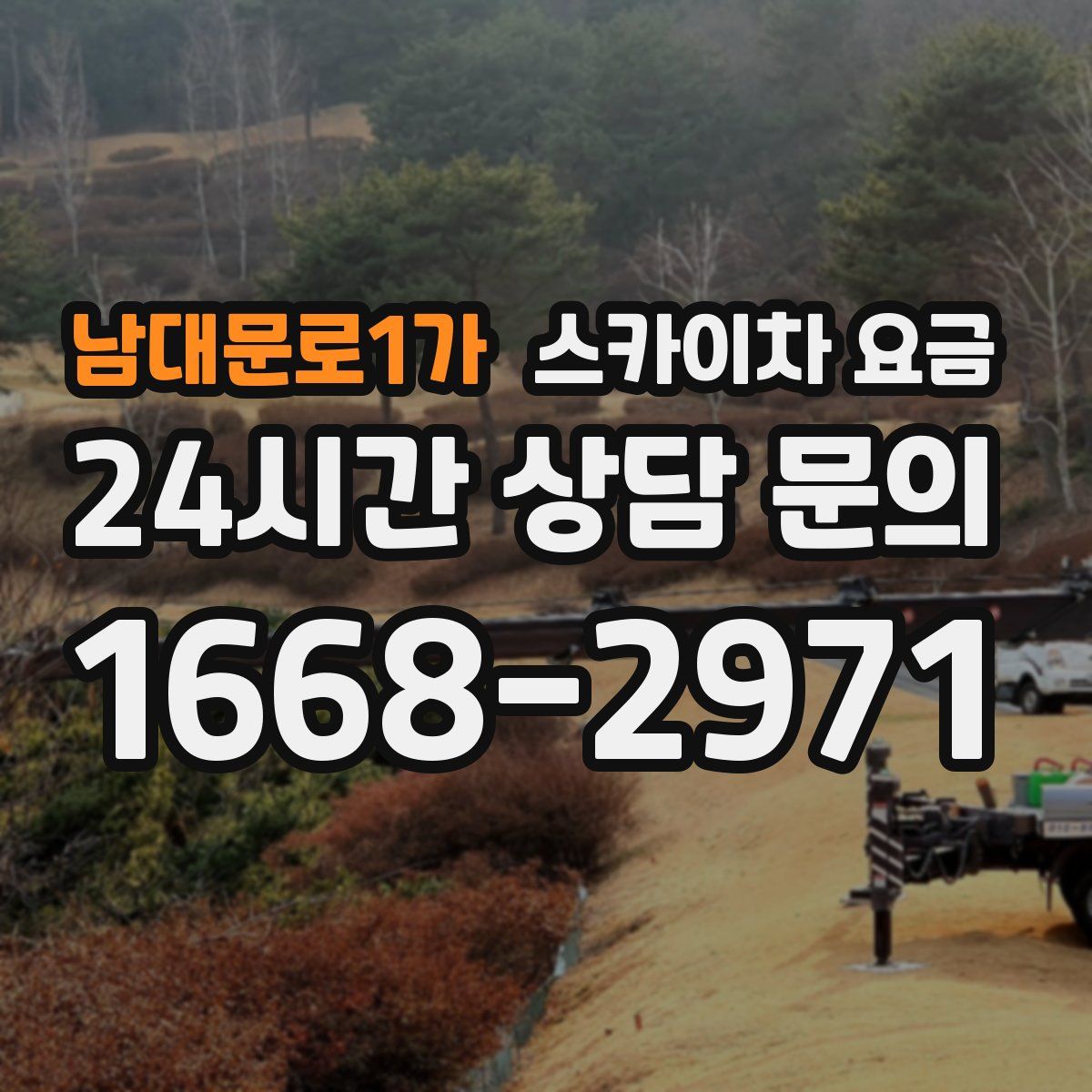 남대문로1가 스카이차 요금