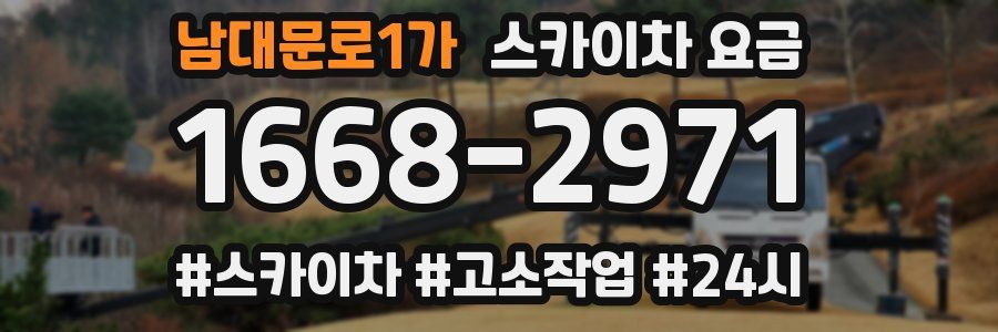 남대문로1가 스카이차 요금