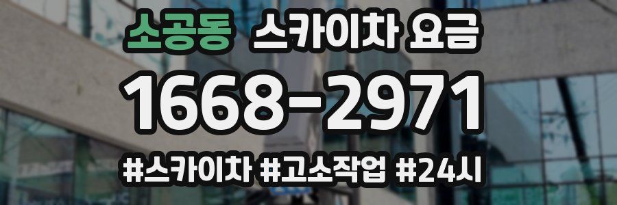 소공동 스카이차 요금