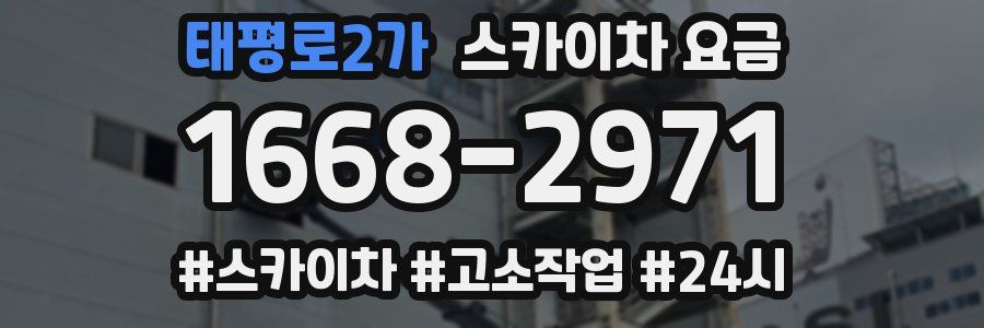 태평로2가 스카이차 요금