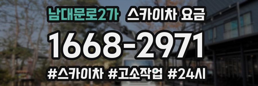 남대문로2가 스카이차 요금