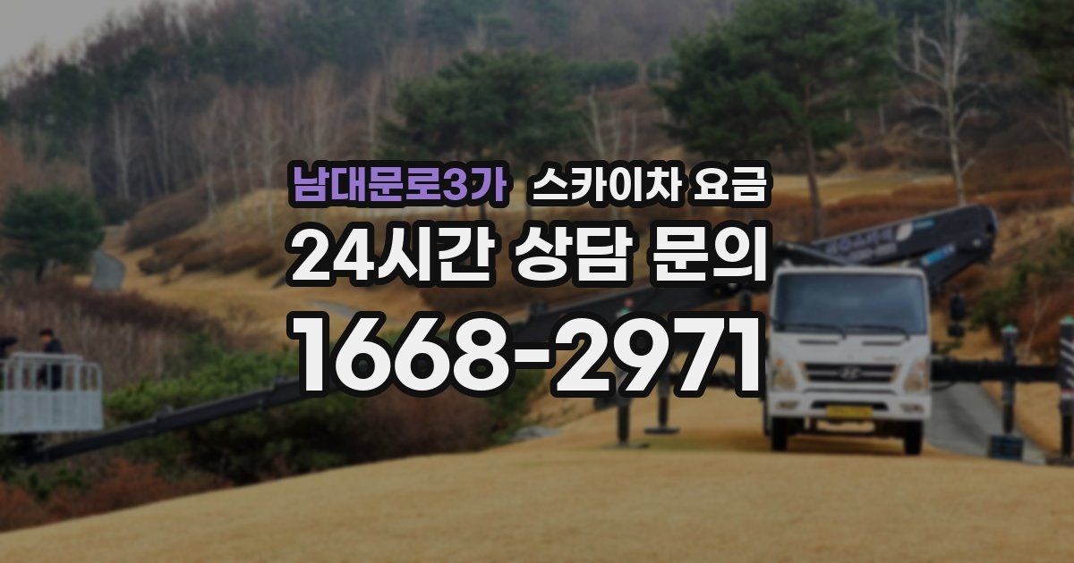 남대문로3가 스카이차 요금