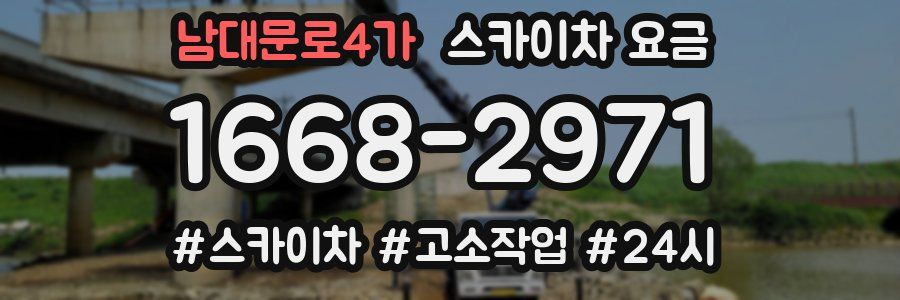 남대문로4가 스카이차 요금