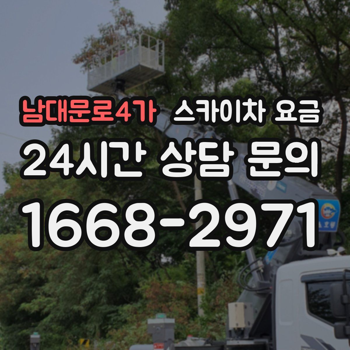 남대문로4가 스카이차 요금