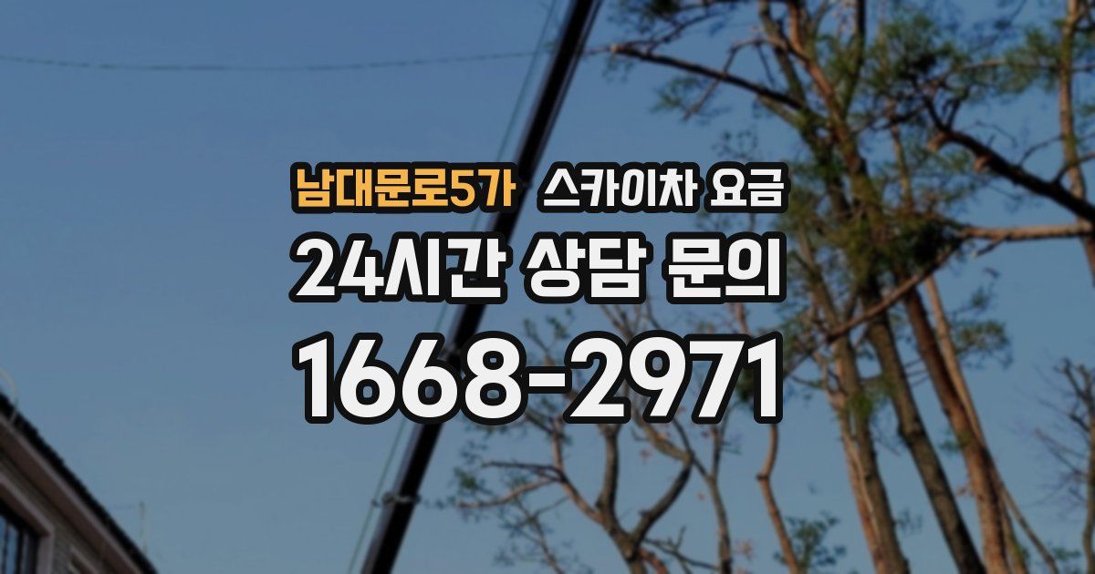 남대문로5가 스카이차 요금