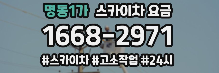 명동1가 스카이차 요금