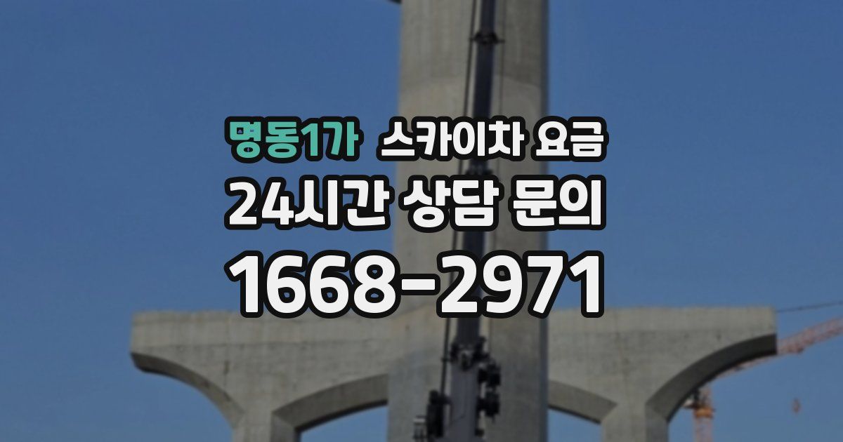 명동1가 스카이차 요금