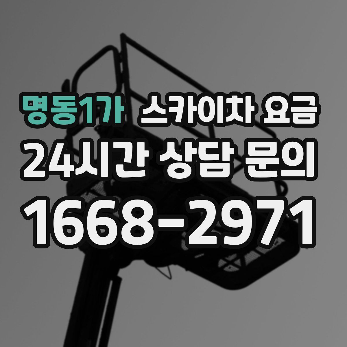 명동1가 스카이차 요금