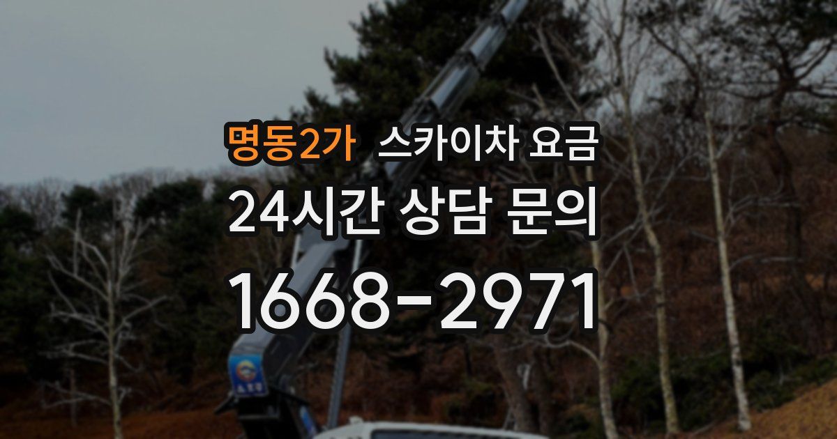 명동2가 스카이차 요금