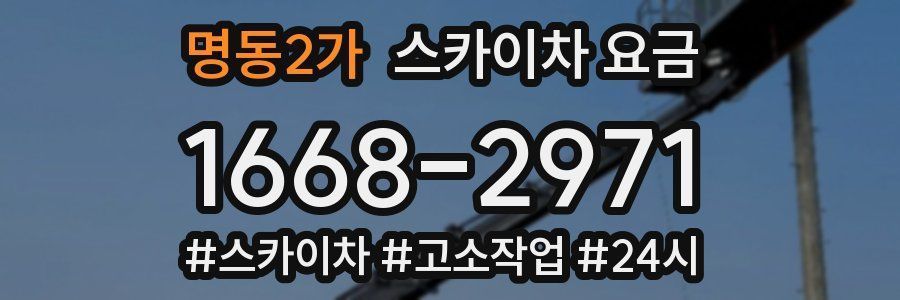 명동2가 스카이차 요금