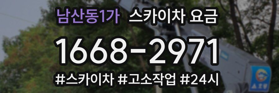 남산동1가 스카이차 요금