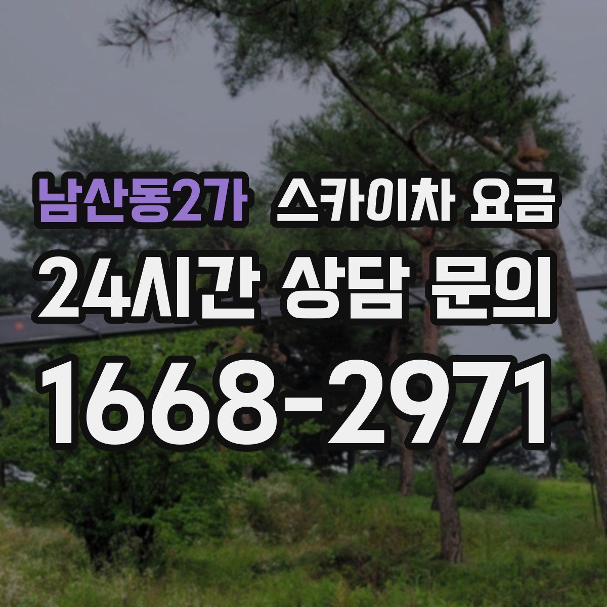 남산동2가 스카이차 요금