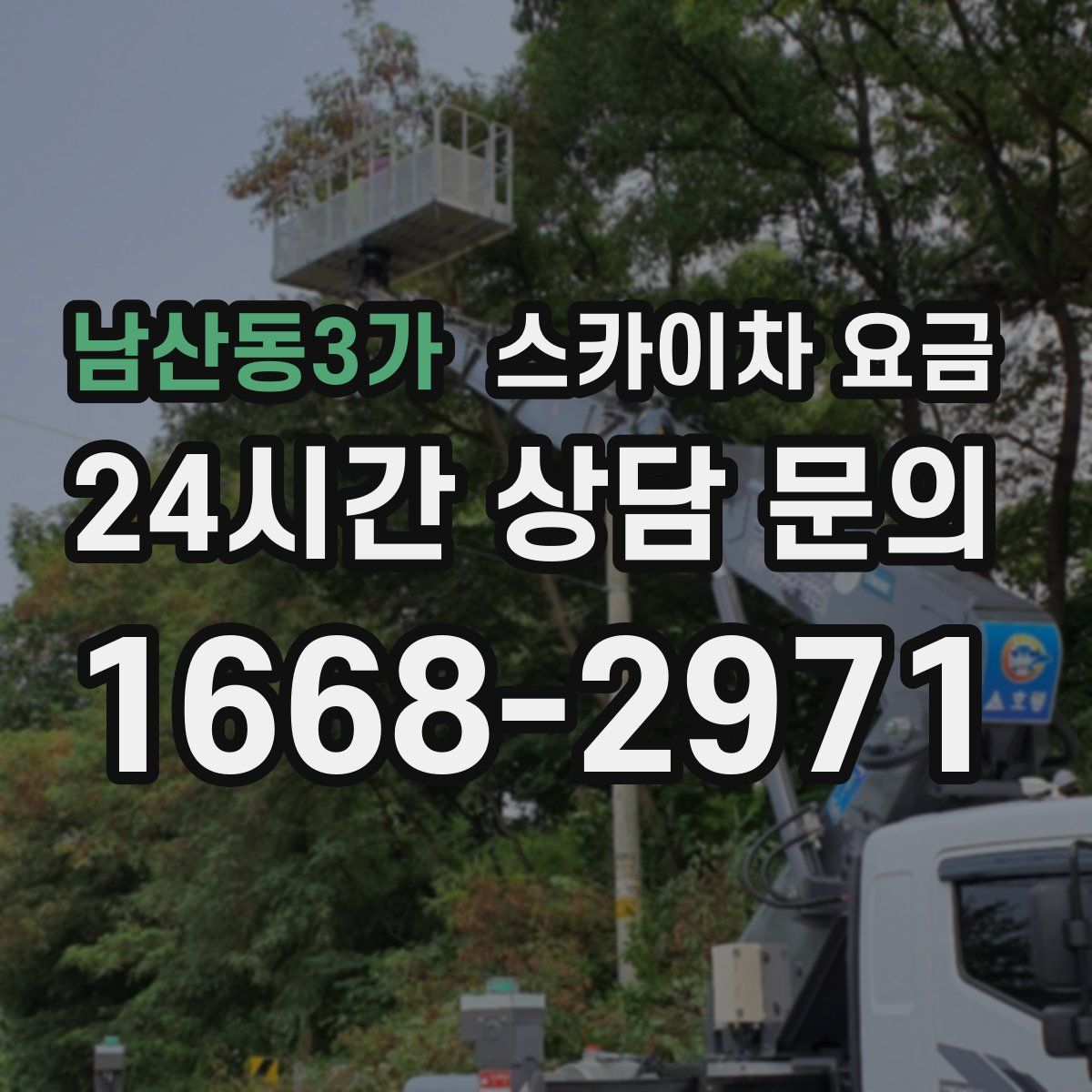 남산동3가 스카이차 요금