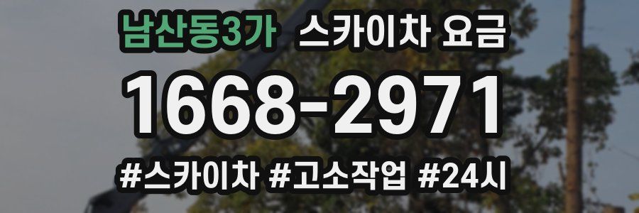 남산동3가 스카이차 요금