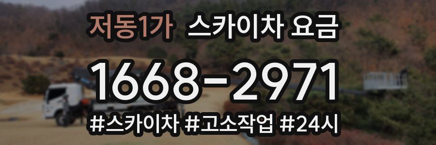 저동1가 스카이차 요금