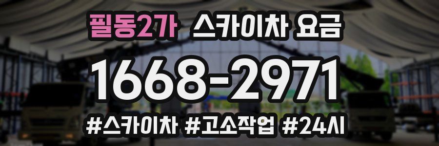 필동2가 스카이차 요금