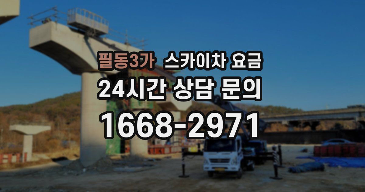 필동3가 스카이차 요금