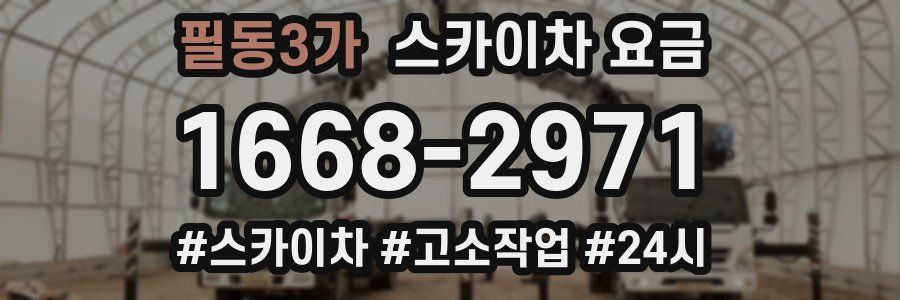 필동3가 스카이차 요금