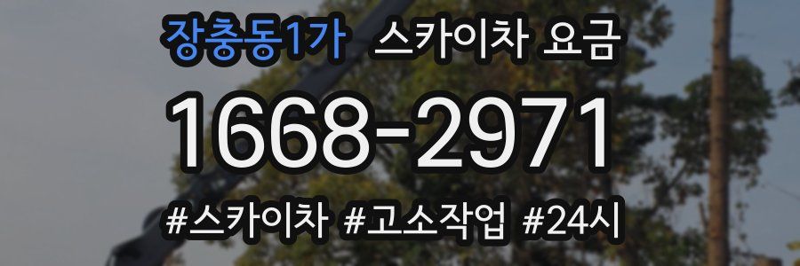 장충동1가 스카이차 요금