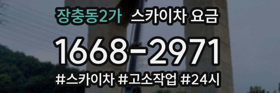 장충동2가 스카이차 요금