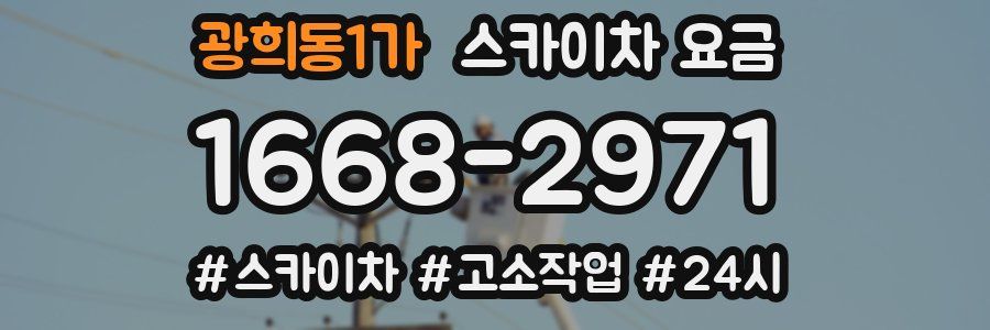 광희동1가 스카이차 요금