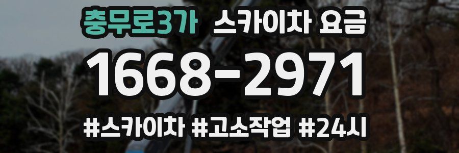 충무로3가 스카이차 요금