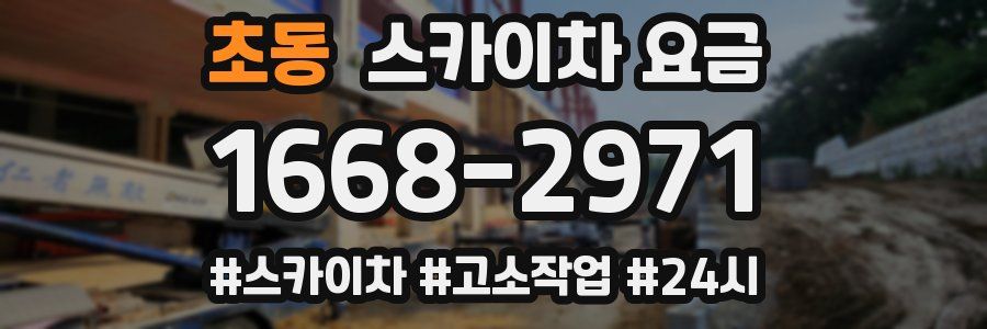 초동 스카이차 요금