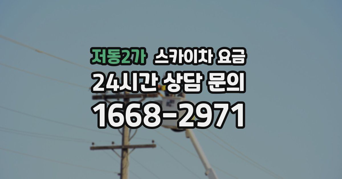 저동2가 스카이차 요금