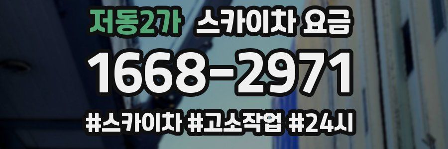 저동2가 스카이차 요금