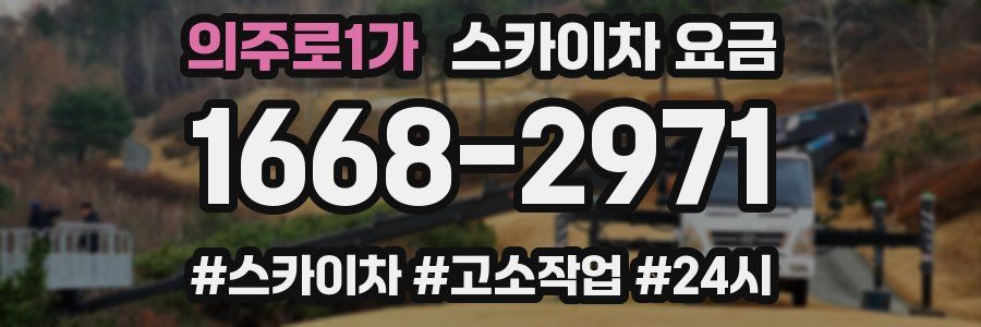 의주로1가 스카이차 요금