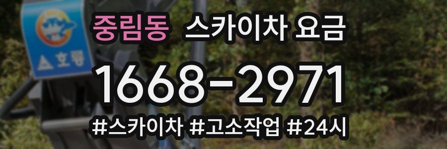 중림동 스카이차 요금