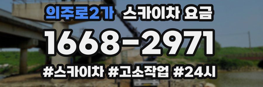 의주로2가 스카이차 요금