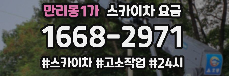 만리동1가 스카이차 요금