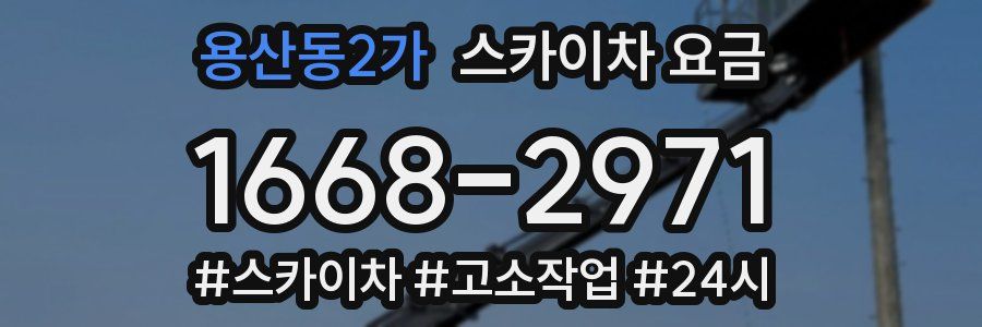 용산동2가 스카이차 요금